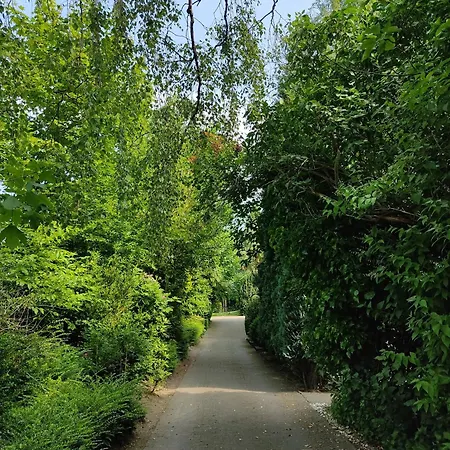 Appartementhaus Rosengarten - A5
